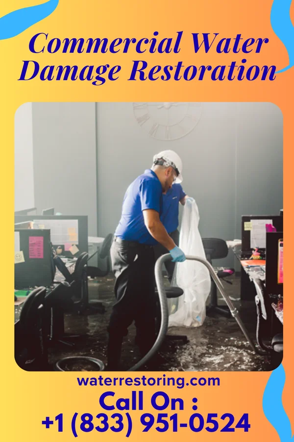 Commercial Water Damage Restoration in Orchard, TX